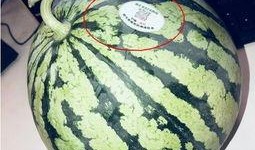 网红店吃瓜,一探究竟的美食之旅