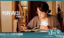 小红花爆料新闻视频在线观看,新闻视频在线观看，揭秘幕后真相